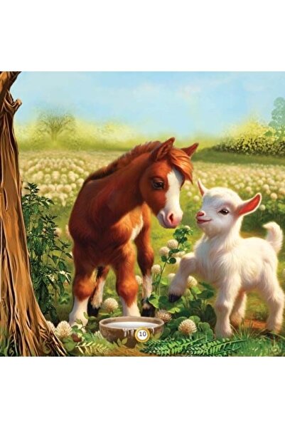 Thoth for Publishing and Distribution Pearl's Story - an Arabic Story for Children about Perseverance, Effort, and Making Mistakes, Designed to Develop Children's Problem-Solving Skills. For Ages 6 to 12 |   A Story of Moral Education.