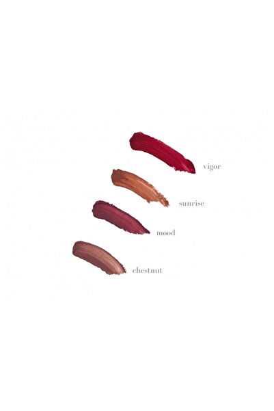 CARISSA COSMETICS Lipstick vigor - أحمر شفاه روج فيجر من كاريسا