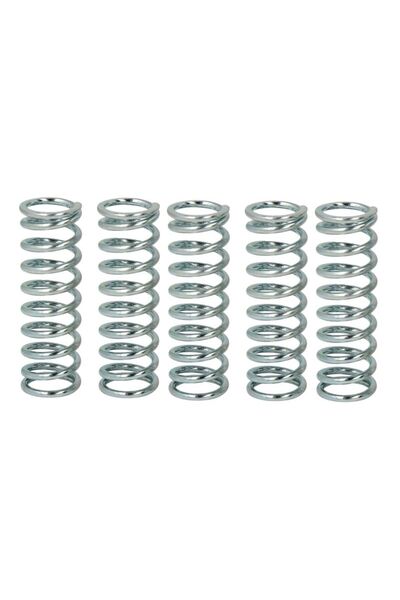TRW Set Arcuri Ambreiaj (ranforsat) Honda Cb Cbr Vtr Suzuki Gs 500/1000/1100 ...