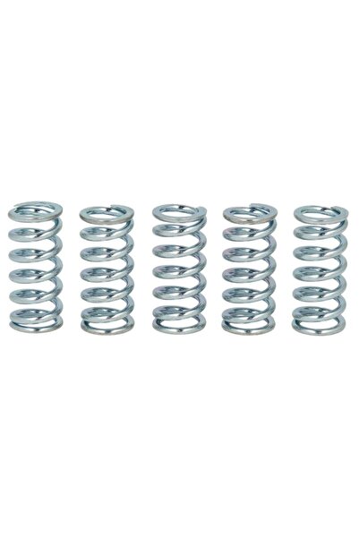 TRW Set Arcuri Ambreiaj (ranforsat) Honda Vf Ktm Exc Yamaha Xv 400/500/750 19...