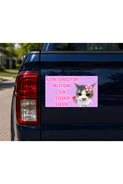 sticker Acemi Sürücü Mıknatıslı Araç Yazısı 15x25 cm – Sevimli Kedi Tasarımlı...