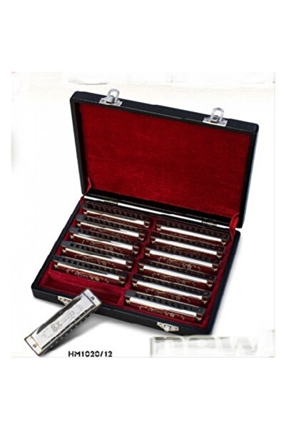 VALENCIA Hm1020-12 Mizika Set 12li