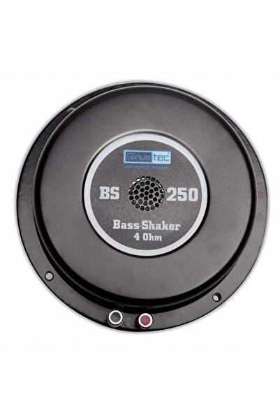 NO BRAND Sinustec 14019 100 W Subwoofer auto
