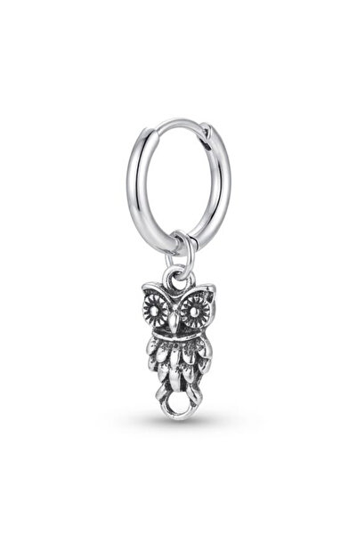 Blisse Piercing Unisex Silver Color Surgical Steel Dangle Owl Figured Hoop Ea...