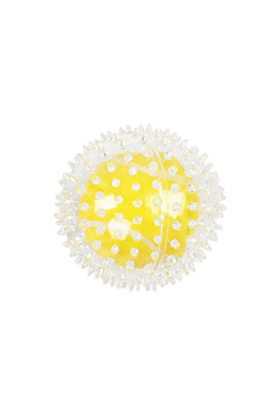 Pawise Concepta Bouncing Ball Dog Toy (101440) Tennis Ball