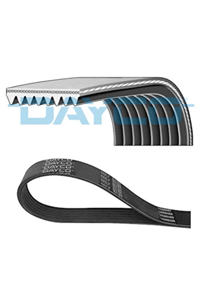 DAYCO Curea Transmisie Cu Caneluri Daf Cf/Xf 2012-2013