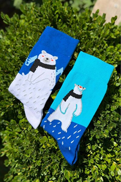 LouSocks جوارب زرقاء منقوشة على شكل دب قطبي للجنسين