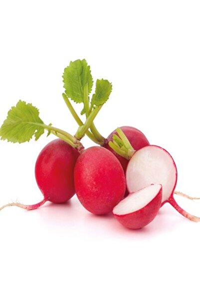 Garden Σπόρος ραπανιού