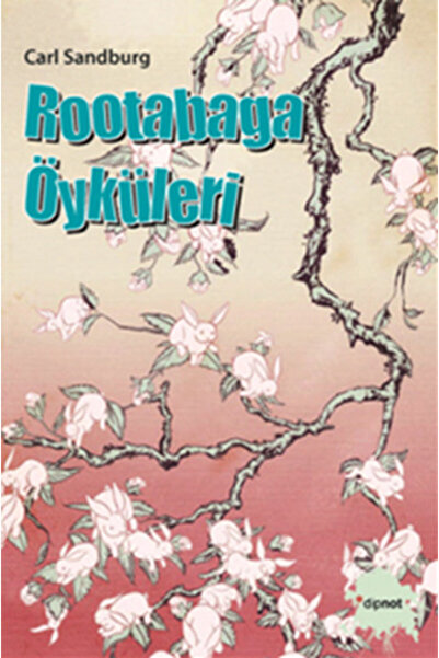 Dipnot Yayınları قصص روتاباجا