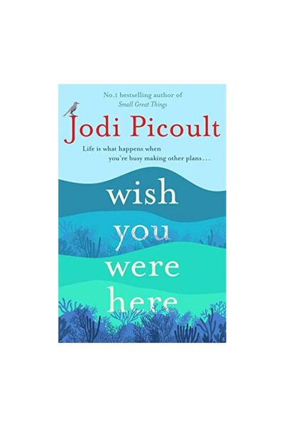 Generic (Unbranded) Wish You Were Here, Jodi Picoult
