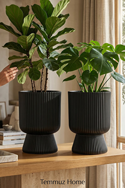 TEMMUZ HOME 2 Adet 5 Litre Büyük Boy Çizgili Ayaklı Saksı - Lotus 2 No (Delik...