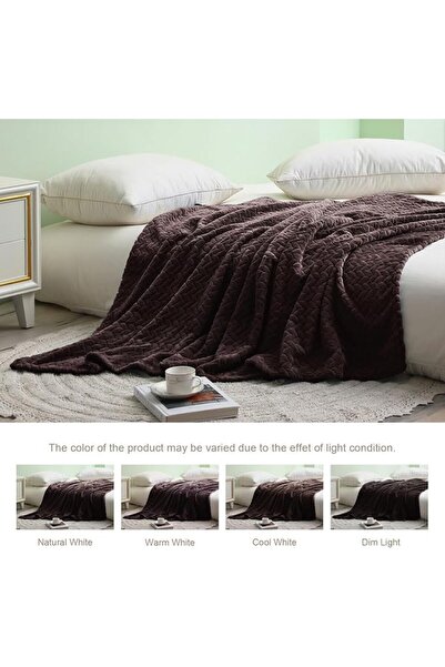 Exclusivo Mezcla Celadon Fleece Throw Blanket for Couch and Bed, 50x70 Inches...