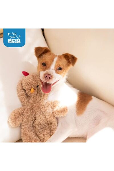 Best Pet Supplies لعبة كلب مجعدة للكلاب الصغيرة والمتوسطة، بطة لطيفة بدون حشو...