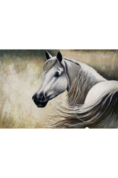 Aden TABLOU PE PÂNZĂ DIGITAL DECORATIV CU CĂLĂRĂ ALBĂ ÎN CADRĂ DECORATIVĂ