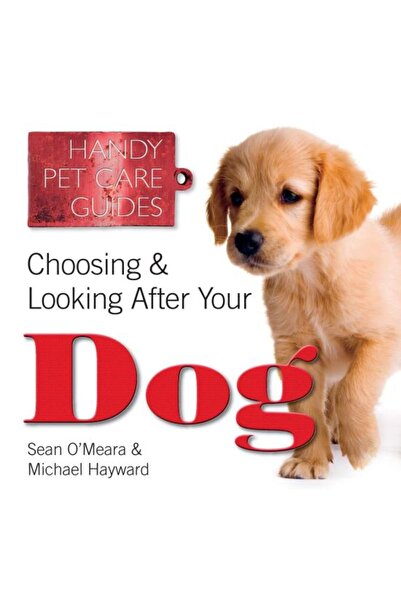 Flame Tree Choosing & Looking After Your Dog
