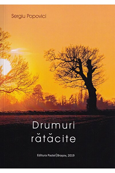 Pastel Drumuri ratacite - Sergiu Popovici