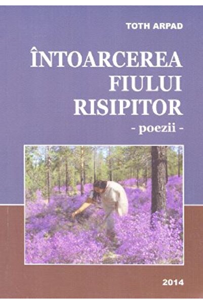 PAPYRUS Intoarcerea fiului risipitor - Toth Arpad