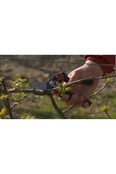 NO BRAND BAHCO - PXR-M2-L - FOARFECĂ DE GRĂDINĂ PENTRU STÂNGACI