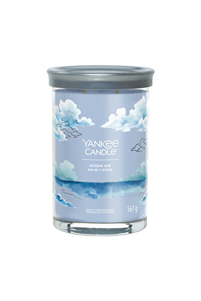 Yankee Candle Θερμός Όσιαν Έαρ Σίγκνετσερ, Μεγάλο, 567 γρ.