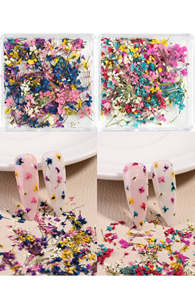 Choice8 FF-03-04 Mixed Colorful Natural Flowers Nail Art Charms Klein Blue Ye...