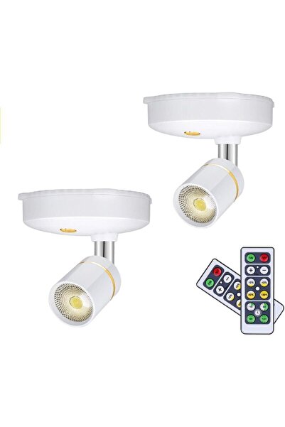 STARSTAR 2 dimmable wireless picture lights remote.