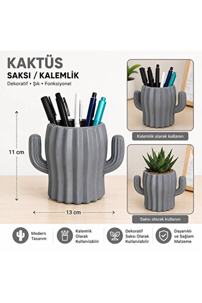 bimbambom Kaktüs Saksı, Sukulent saksı, Plastik Saksı Renkli Saksı, kalemlik,...
