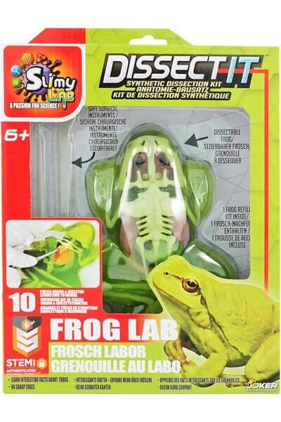 Slimy Dissect-it in giftbox - Salamander