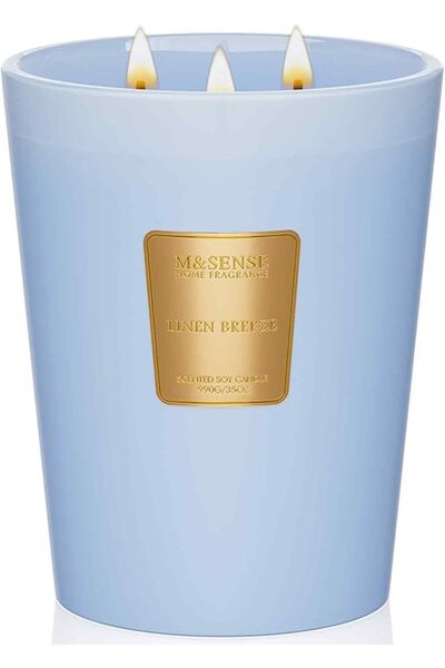 M&SENSE Eucalyptus Sage Scented Candle, 14.1oz 60H Burn Time Slow Burning, Na...