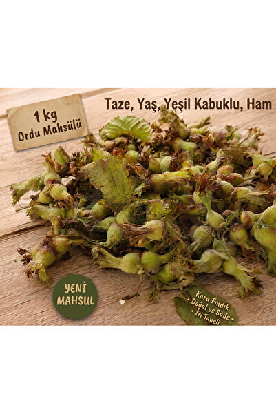 kaya ve demir 1 Kg Taze Yaş Fındık – Yeşil Kabuklu Ham Fındık – Yeni Mahsul İ...