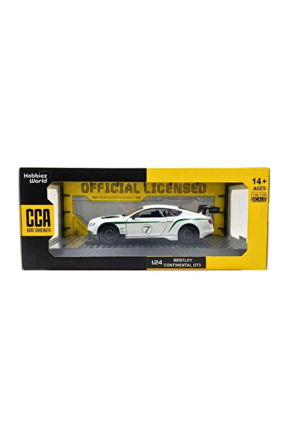 SORA GROUP 1/24 bentley continental gt3 model car