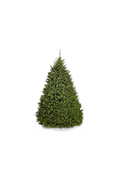 Generic Fresh Premium Christmas Tree 230cm