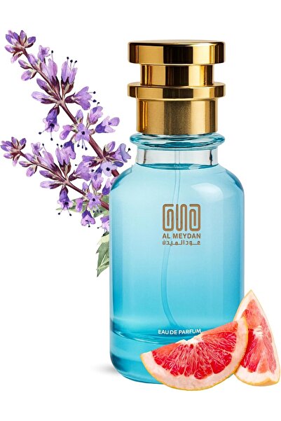 OUD AL MEYDAN Inspired Oil Perfume for Men - Long-Lasting Chypre Fruity Blend...