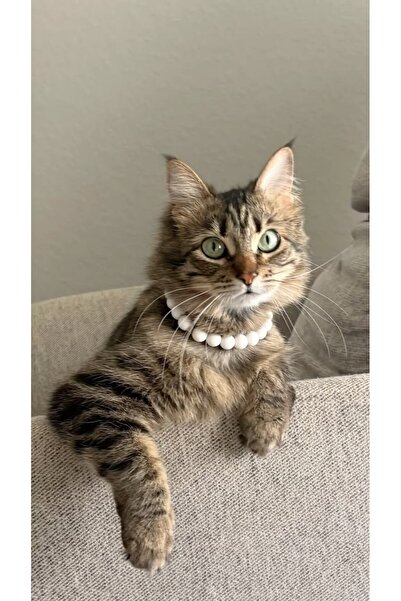 Kedi ve Küçük Köpekler için Zarif İnci Kolye