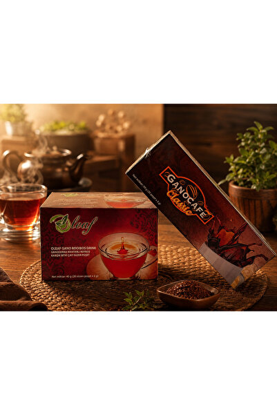 GanoExcel Olef Gano Rooibos Drink – Ganoderma Lucidum Özlü Rooibos Çayı 20 x ...