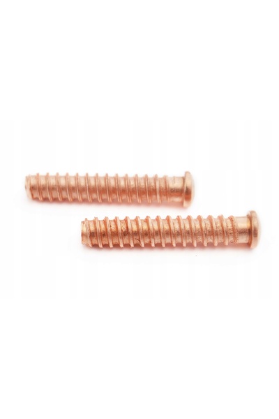 NO BRAND Roți filetate 5x25mm nituri placate cu cupru 100 bucăți Șurubelniță ...