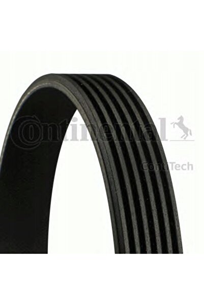 Continental 6PK1564 Curea multi-ribată - Accesorii de transmisie motor
