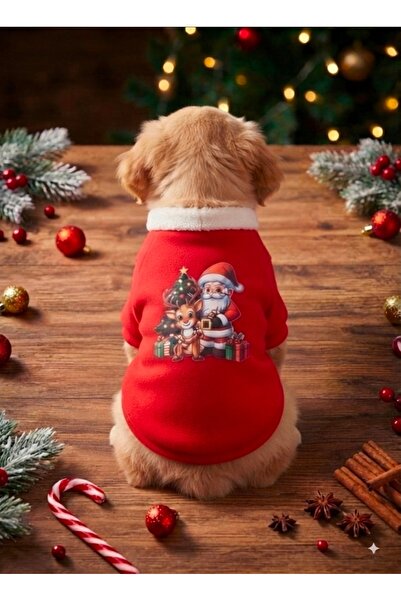 atelyu Dog and Cat Thick Sweatshirt