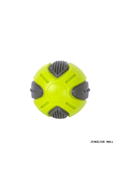 Pawise Zengezur Dog Squeaky Ball (162007) Dog Toy