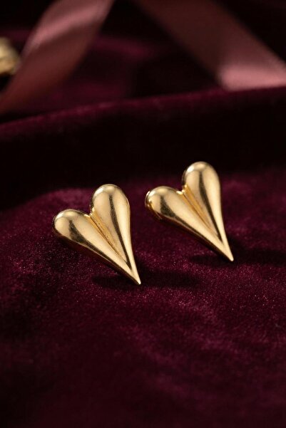 Generic Brand 316L Steel Gold Color Heart Model Earrings