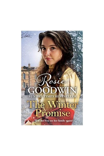 Generic (Unbranded) The Winter Promise