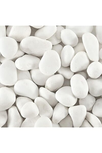 Generic 2.5lbs Large White River Rocks (3-7cm) Smooth Natural Decorative Ston...