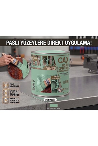 caxcolors CAX Pas Üstü Direkt Uygulanan Antipaslı Sentetik Metal Boyası 1 Lit...