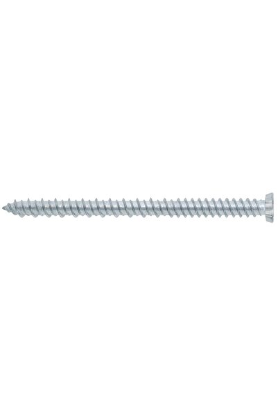 OEM Window / door mounting screw, Torx, TX 30, Friulsider VF, steel, white zi...