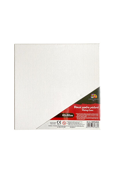 MC Micostore Panza pentru pictura pe sasiu 40 x 40 cm sf art pigna