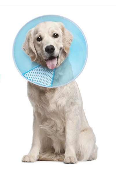Supet Guler de recuperare pentru animale de companie, Mărimea M, 30-37cm, Pla...