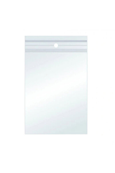 MC Micostore Σακούλες Ziplock 70x100mm 100 τεμάχια/σετ