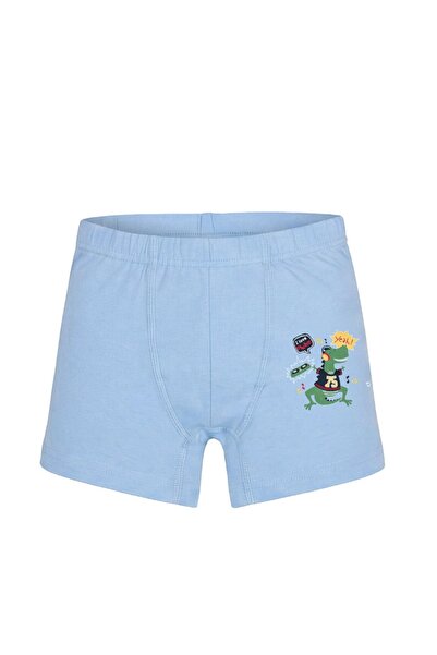 Boxer