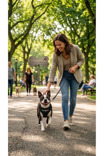 PATİZİSHOP Comfortable Pet Chest Harness Size S
