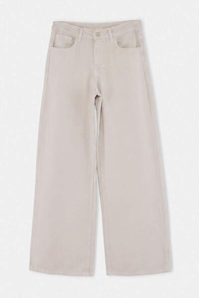 Trendyol Collection Gray 100% Cotton High Waist Wide Leg Jeans Twoaw27Je00059