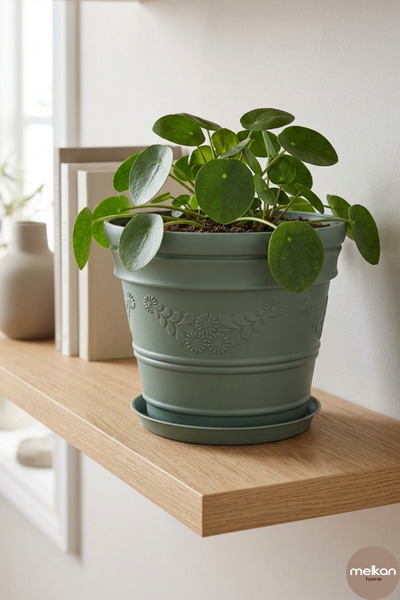 Melkan Home Dekoratif Papatya Desenli Saksı 3 Litre – Çok Amaçlı Dayanıklı Çiçek Saksısı, Balkon, Bahçe ve Salon Saksısı 19x16,5 cm